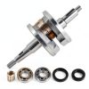 labwork Yamaha YFS200 Crankshaft Alloy Replacement-1