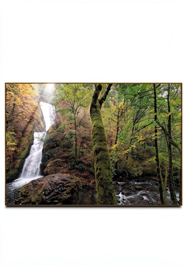 Legal Remedies Kindle eBook by Good Books – 80 Page PDF Typesetting-0