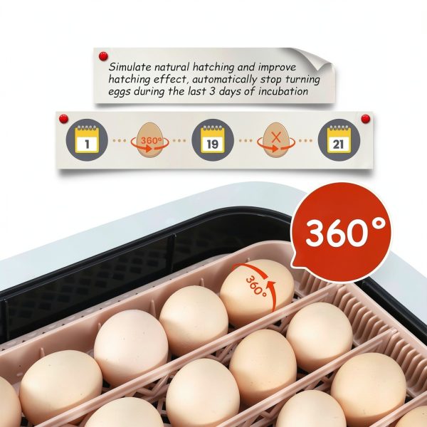 Sailnovo 70 Egg Incubator with Auto Turning and Humidification for-6